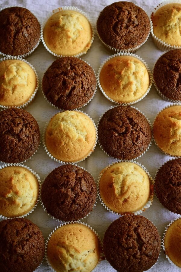 Muffins x6