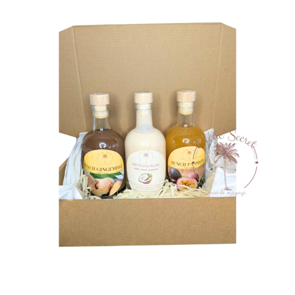 Box Punch Maison – Gingembre, Coco et Passion